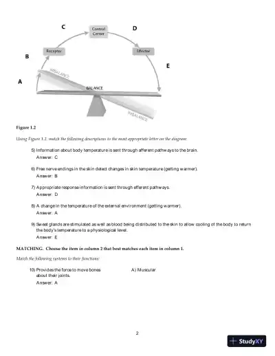 Test Bank For Human Anatomy and Physiology, 11th Edition - Page 3 preview image