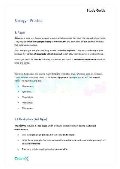 Biology - Protista - Page 1 preview image