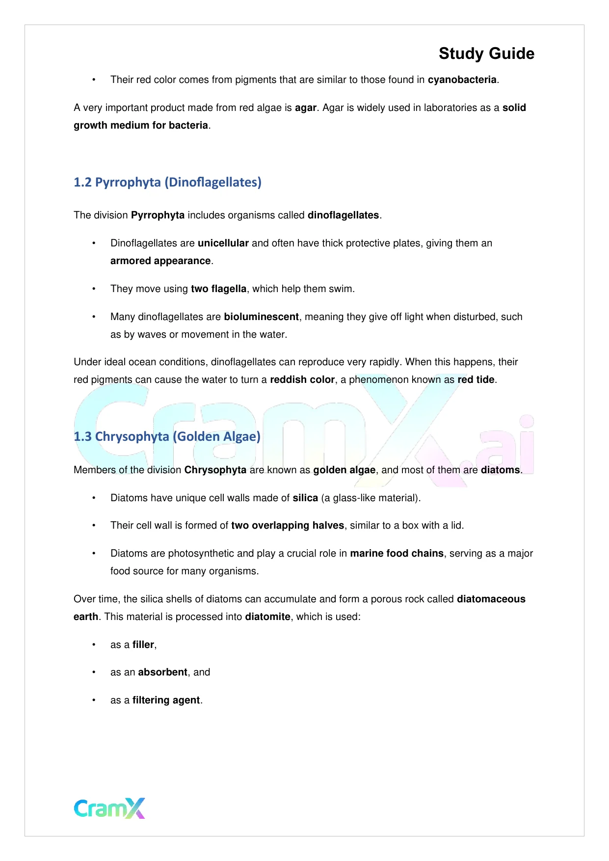 Biology - Protista - Page 2 preview image