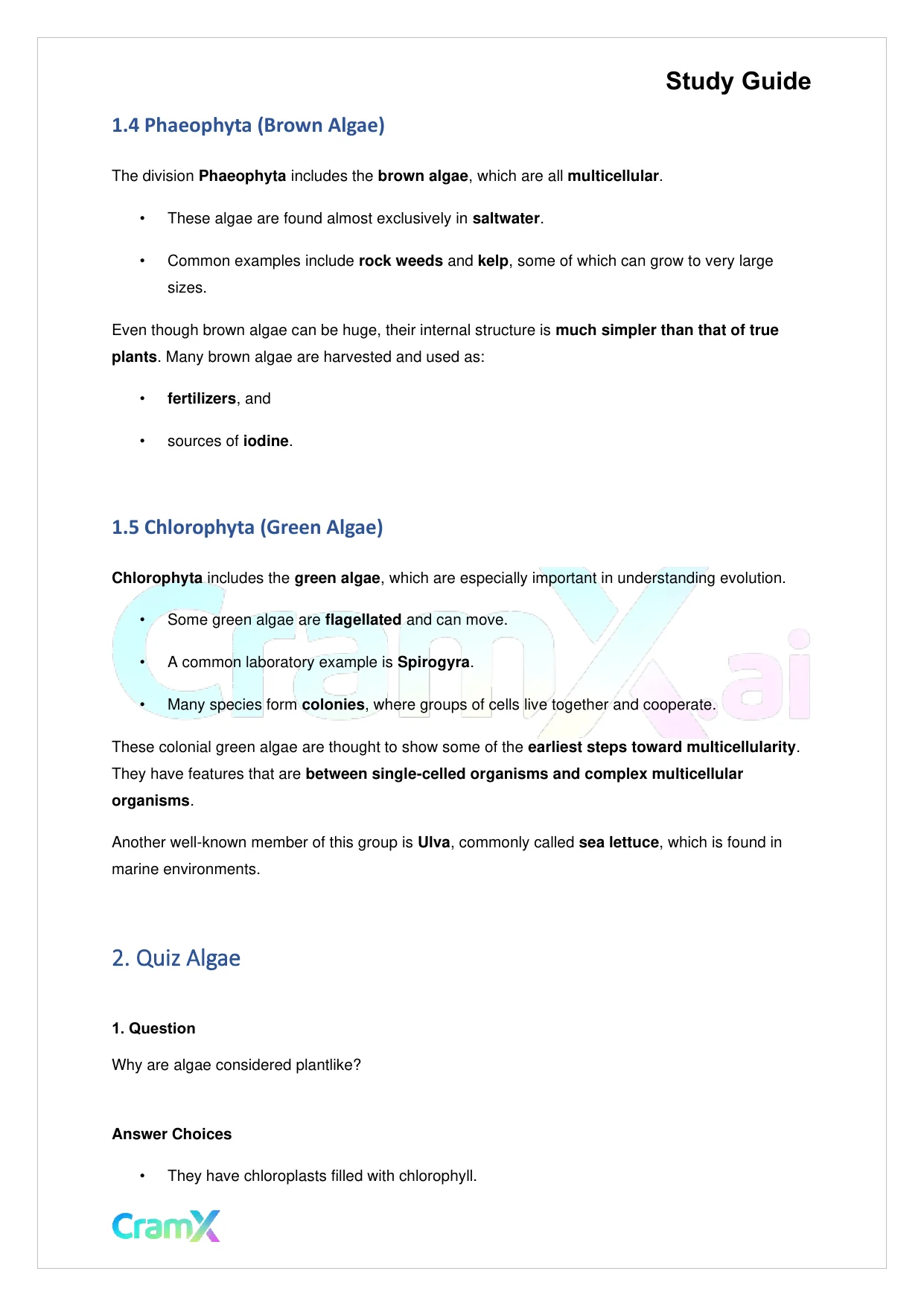 Biology - Protista - Page 3 preview image