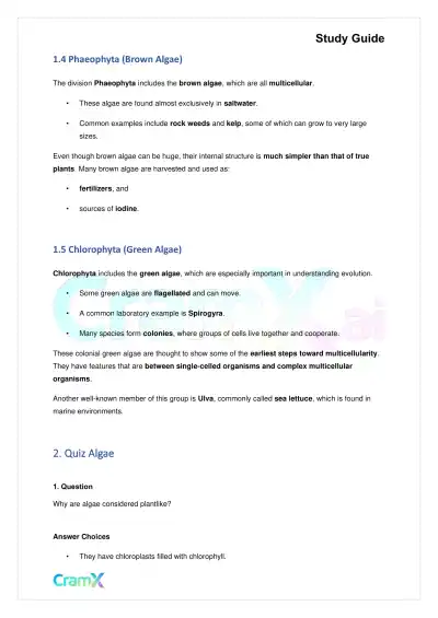 Biology - Protista - Page 3 preview image