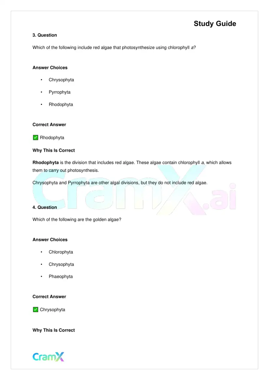 Biology - Protista, page 5