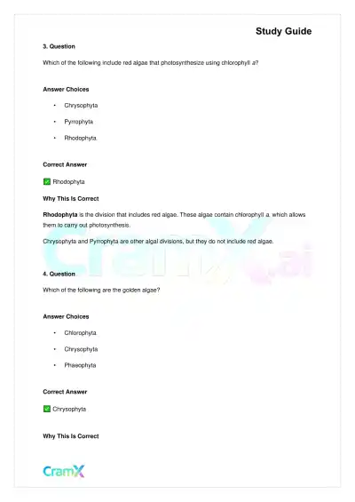 Biology - Protista - Page 5 preview image