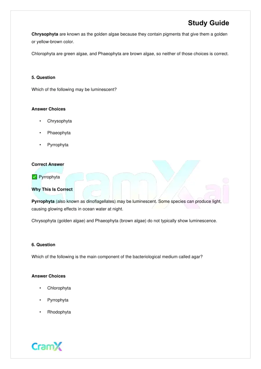 Biology - Protista, page 6
