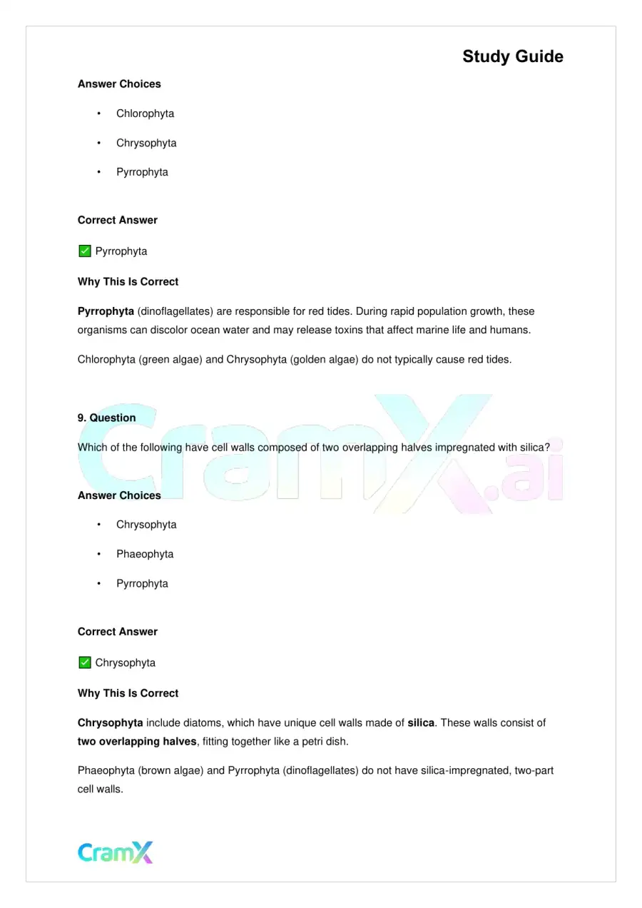 Biology - Protista, page 8