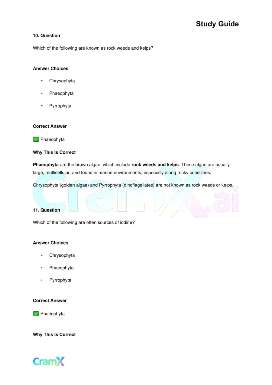 Biology - Protista, page 9