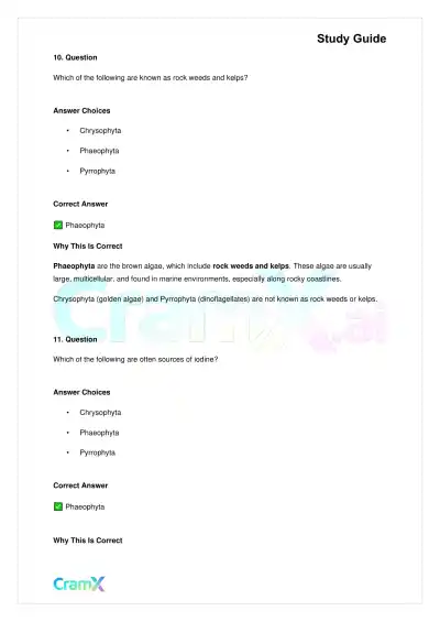 Biology - Protista - Page 9 preview image