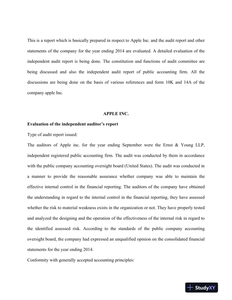 A Comprehensive Evaluation of Apple Inc.'s Independent Audit Report for 2014, page 3