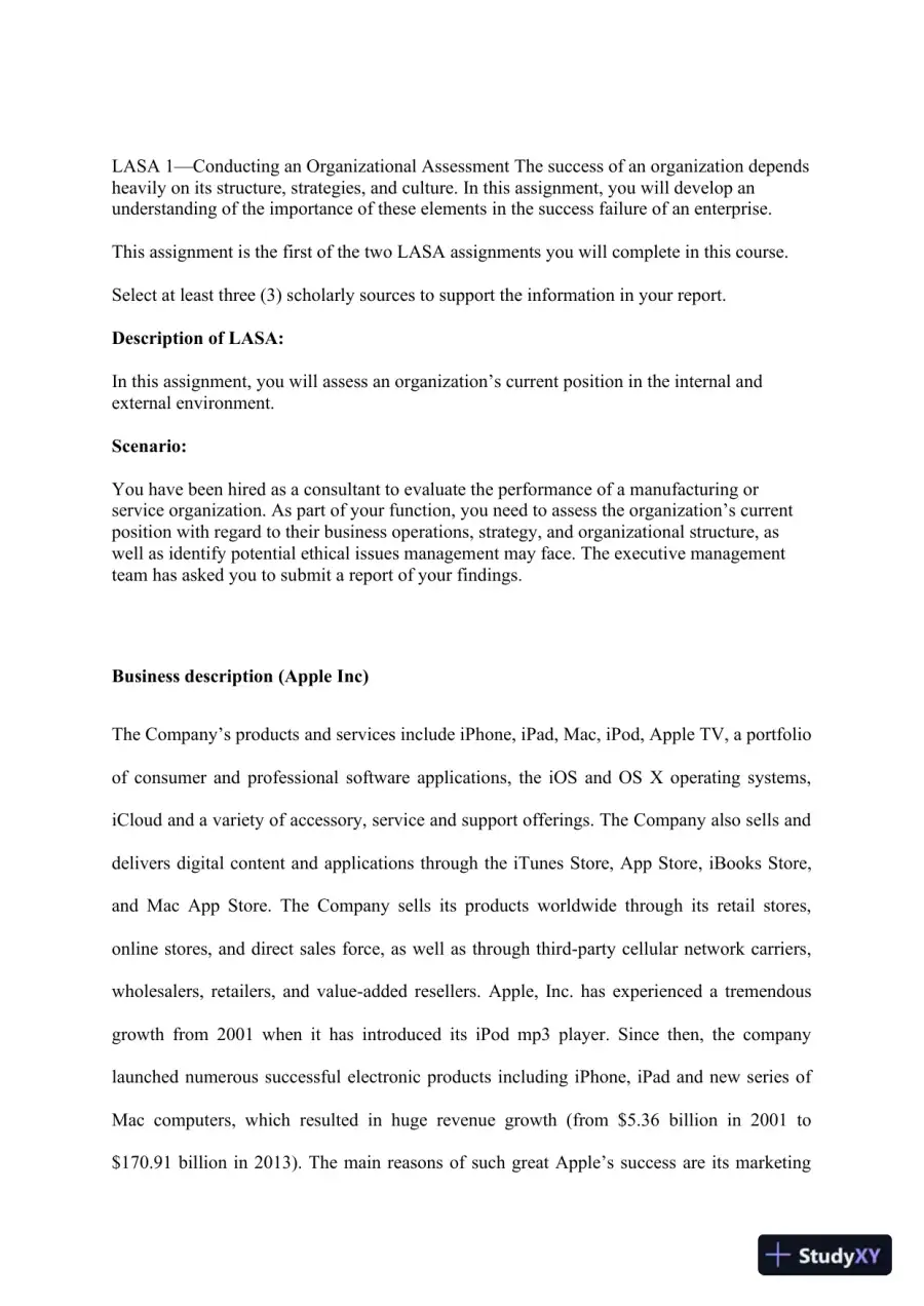 Organizational Assessment of Apple Inc.: Structure, Strategy, and Ethical Considerations, page 3