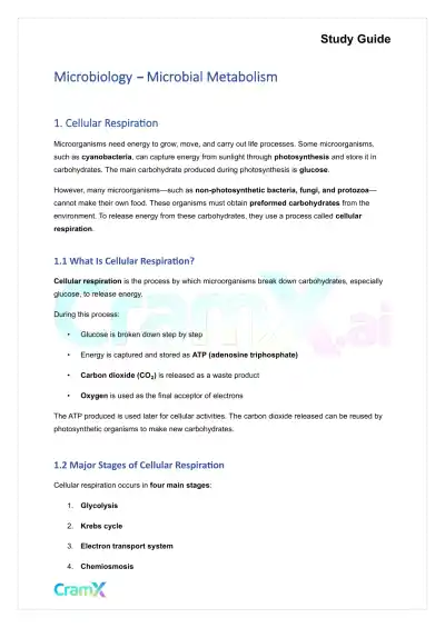 Microbiology - Microbial Metabolism - Page 1 preview image