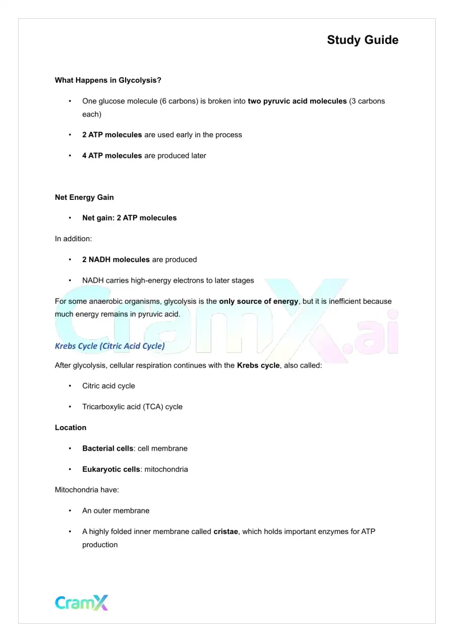 Microbiology - Microbial Metabolism, page 3