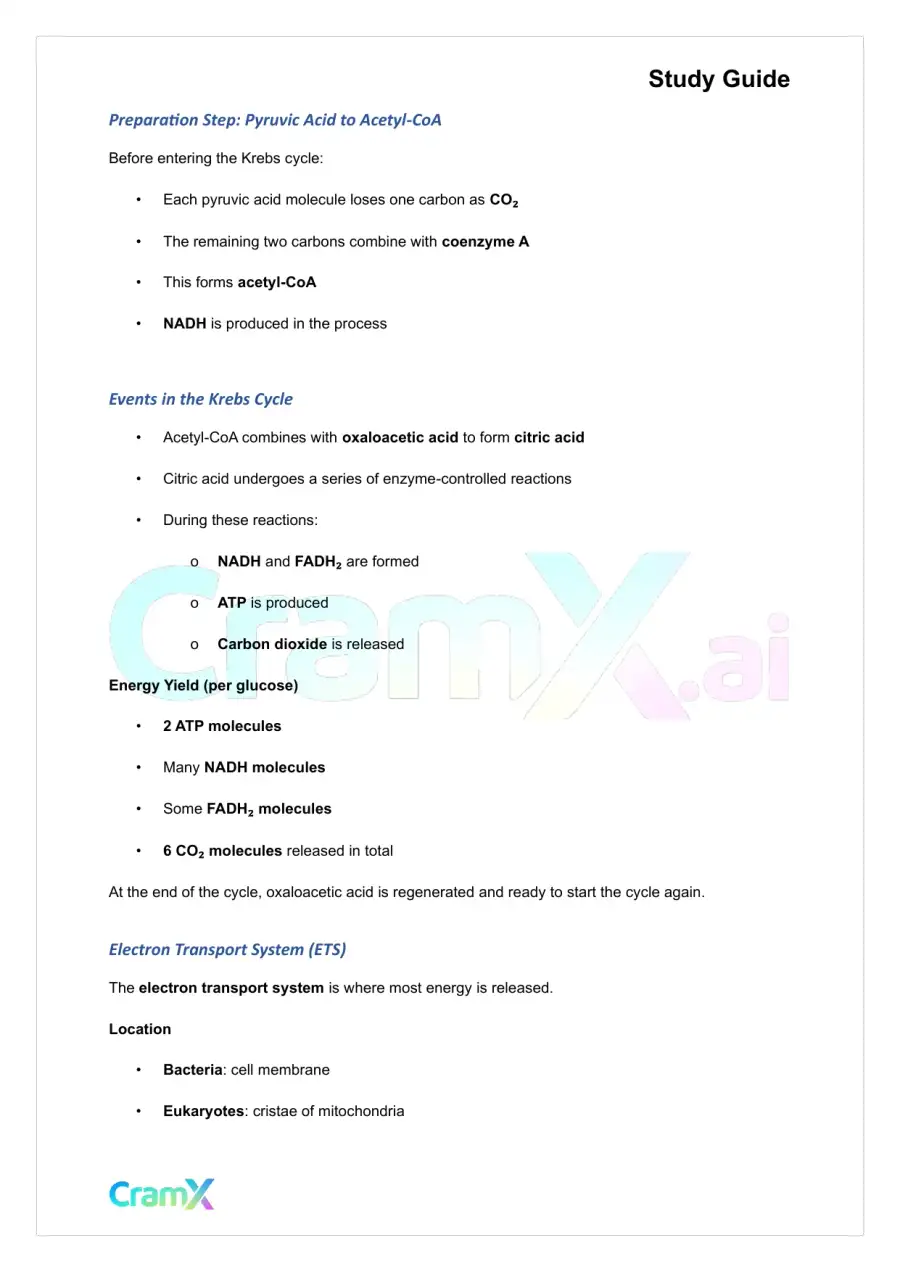 Microbiology - Microbial Metabolism, page 4