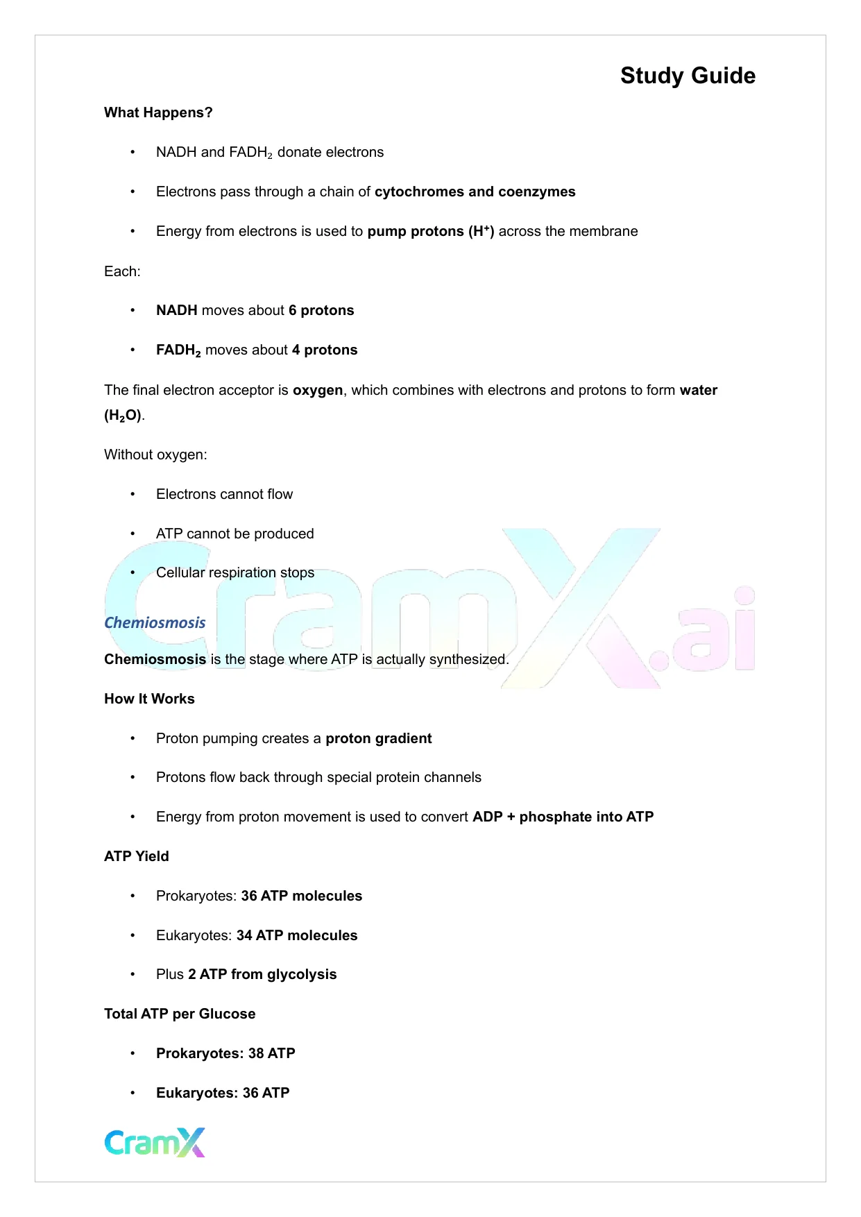 Microbiology - Microbial Metabolism - Page 5 preview image