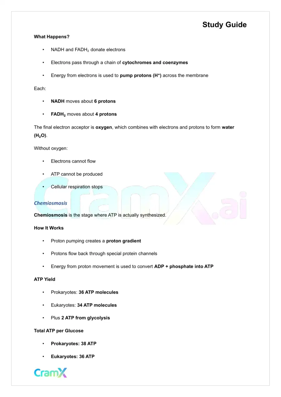Microbiology - Microbial Metabolism, page 5