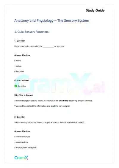 Anatomy and Physiology - The Sensory System - Page 1 preview image
