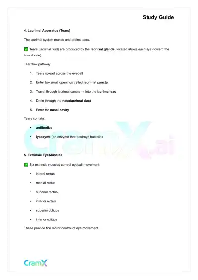 Anatomy and Physiology - The Sensory System - Page 10 preview image