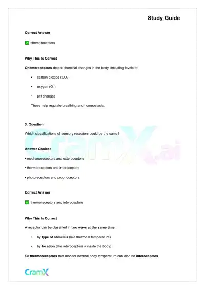 Anatomy and Physiology - The Sensory System - Page 2 preview image