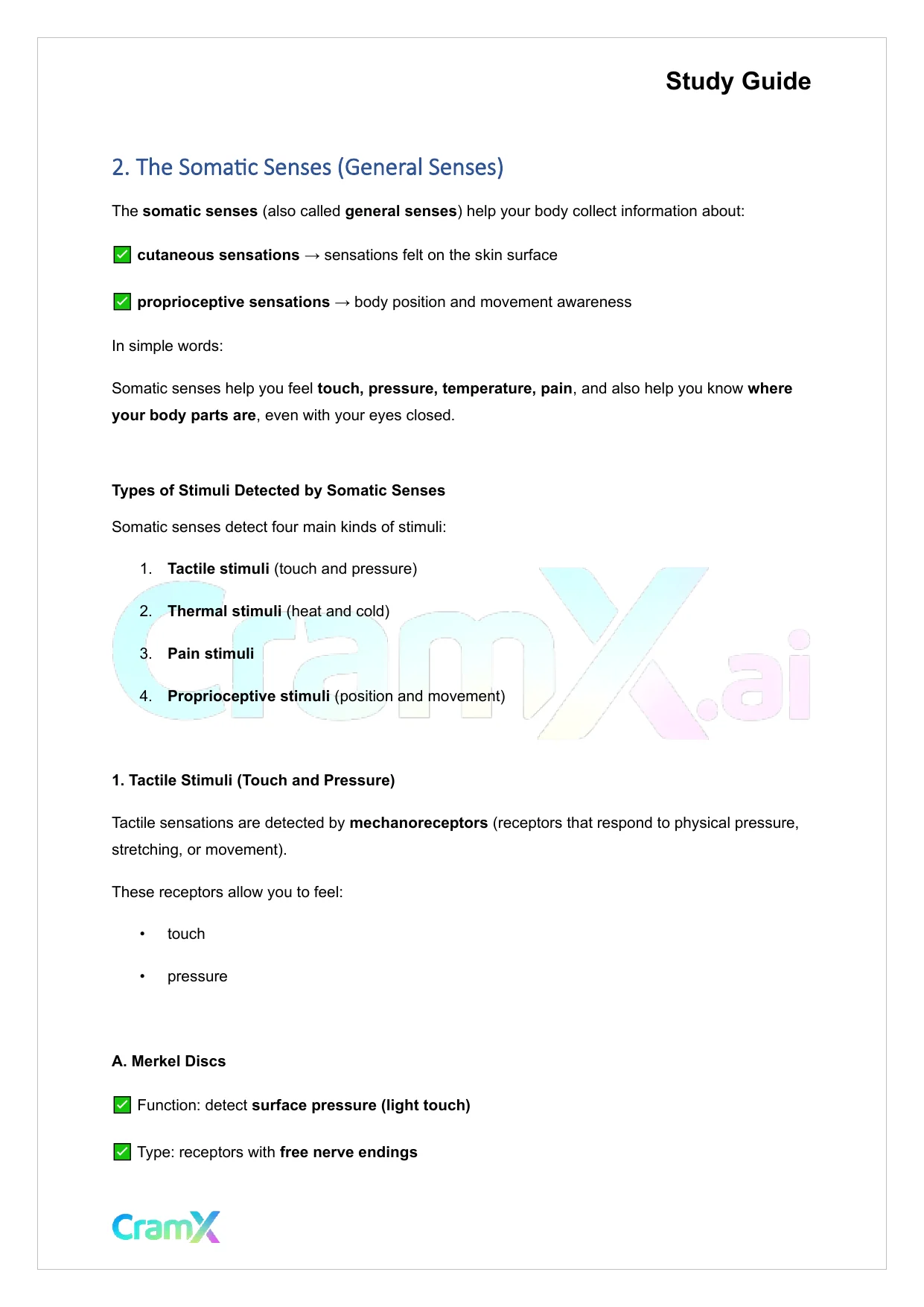 Anatomy and Physiology - The Sensory System - Page 3 preview image