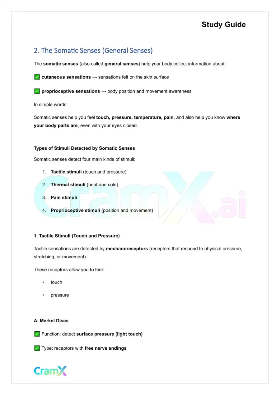 Anatomy and Physiology - The Sensory System, page 3