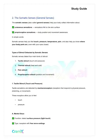 Anatomy and Physiology - The Sensory System - Page 3 preview image