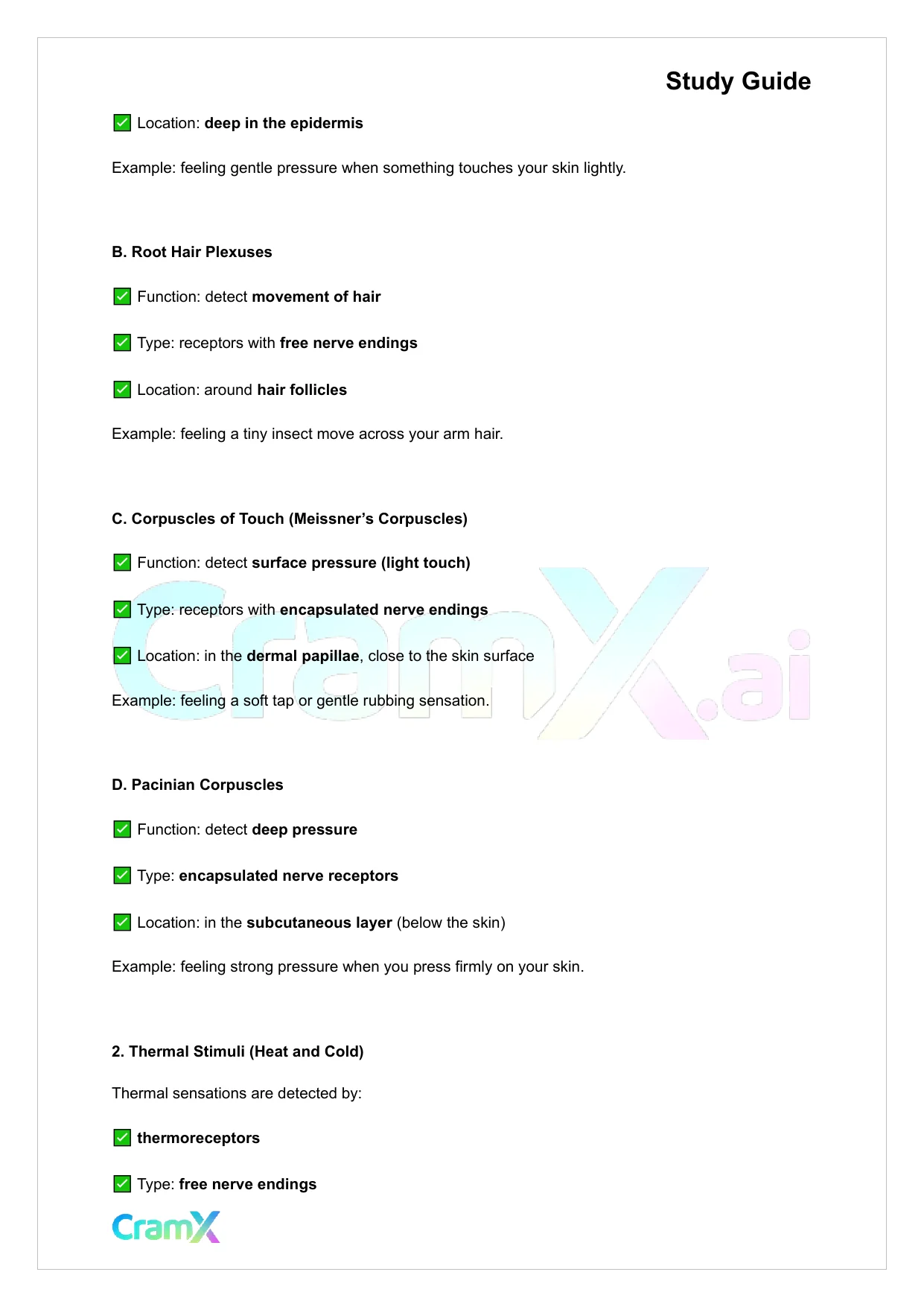Anatomy and Physiology - The Sensory System - Page 4 preview image
