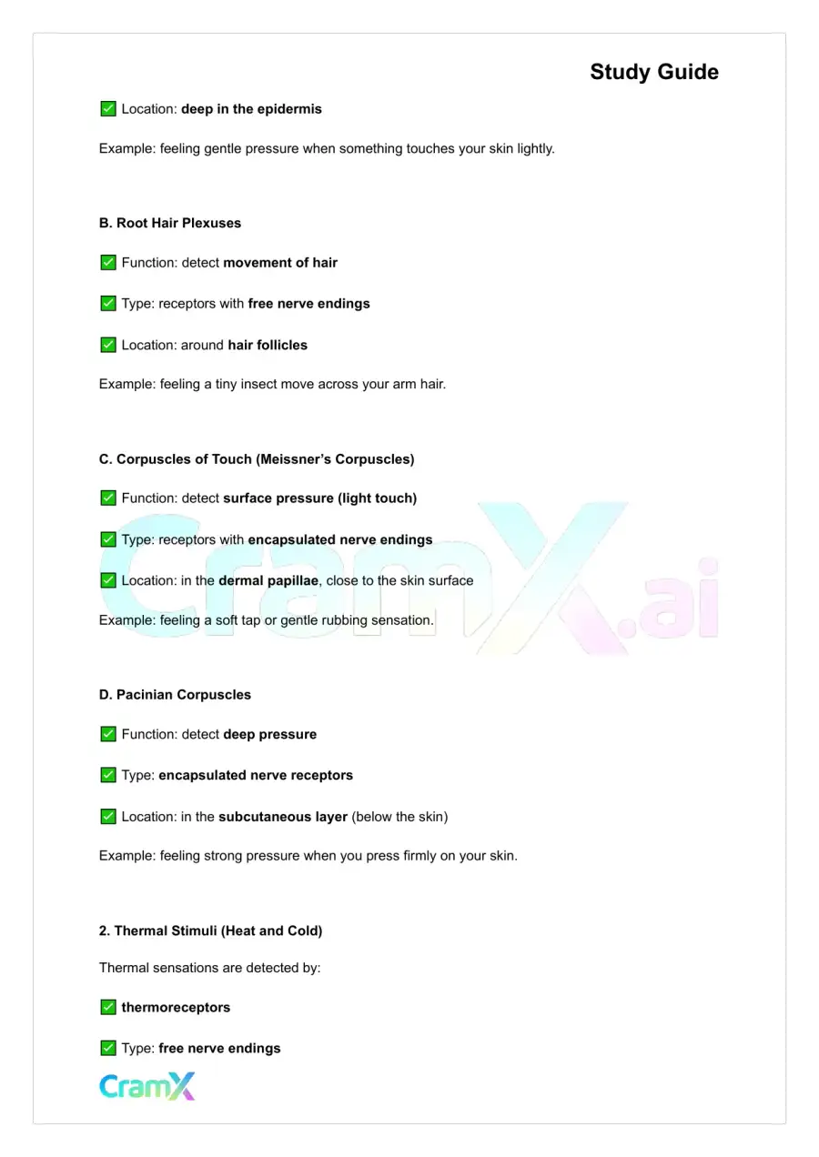 Anatomy and Physiology - The Sensory System, page 4