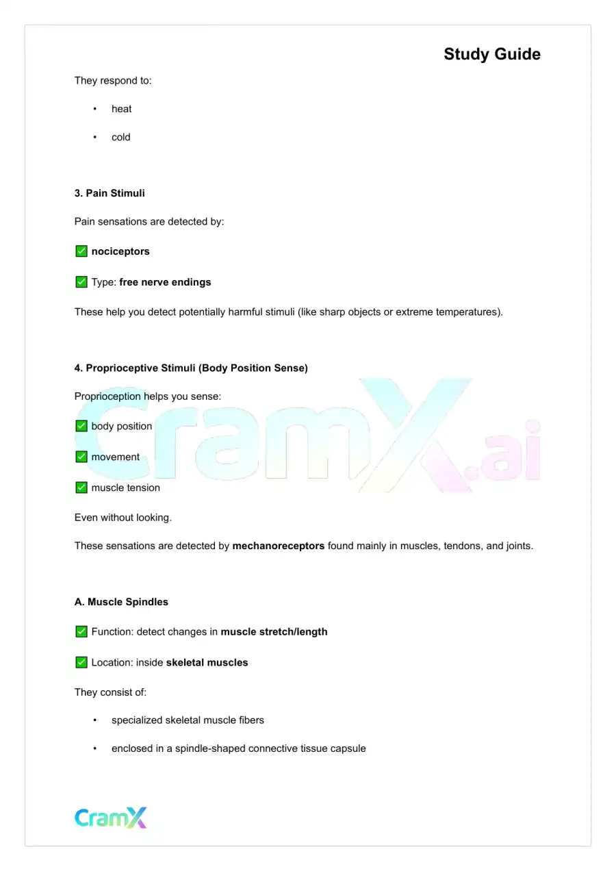 Anatomy and Physiology - The Sensory System, page 5