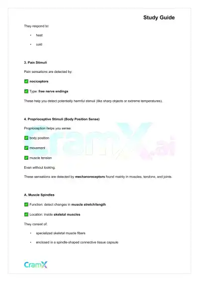 Anatomy and Physiology - The Sensory System - Page 5 preview image