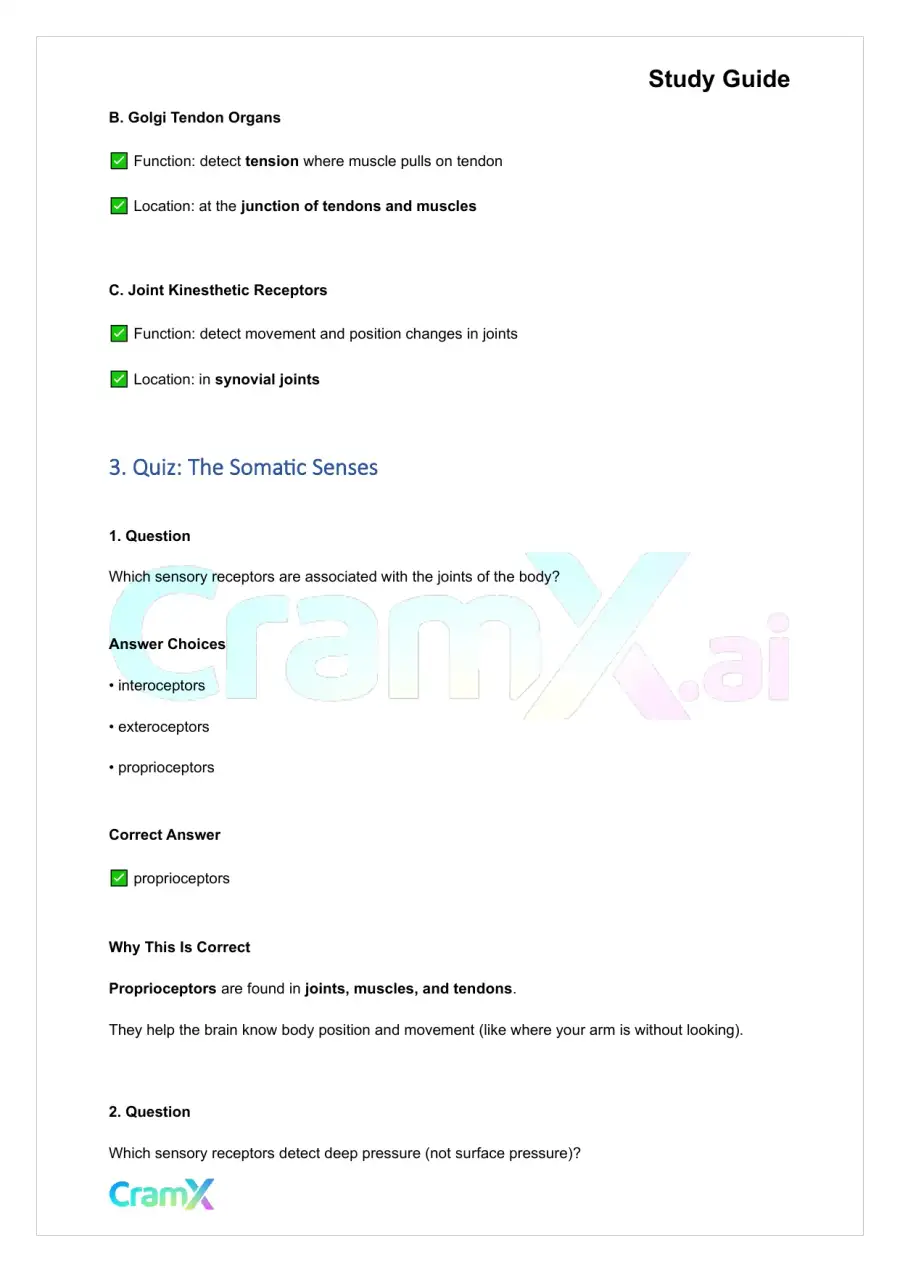 Anatomy and Physiology - The Sensory System, page 6