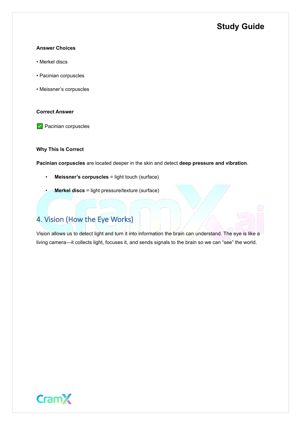 Anatomy and Physiology - The Sensory System - Page 7 preview image