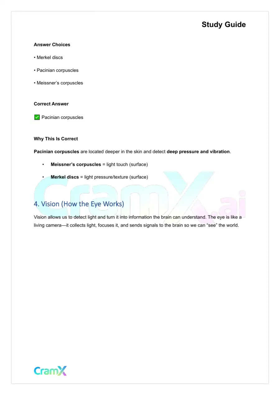 Anatomy and Physiology - The Sensory System, page 7