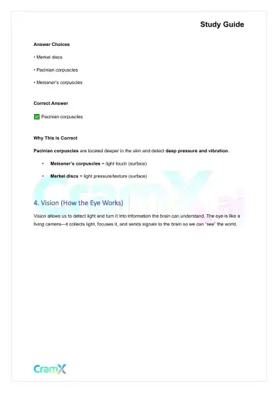 Anatomy and Physiology - The Sensory System - Page 7 preview image