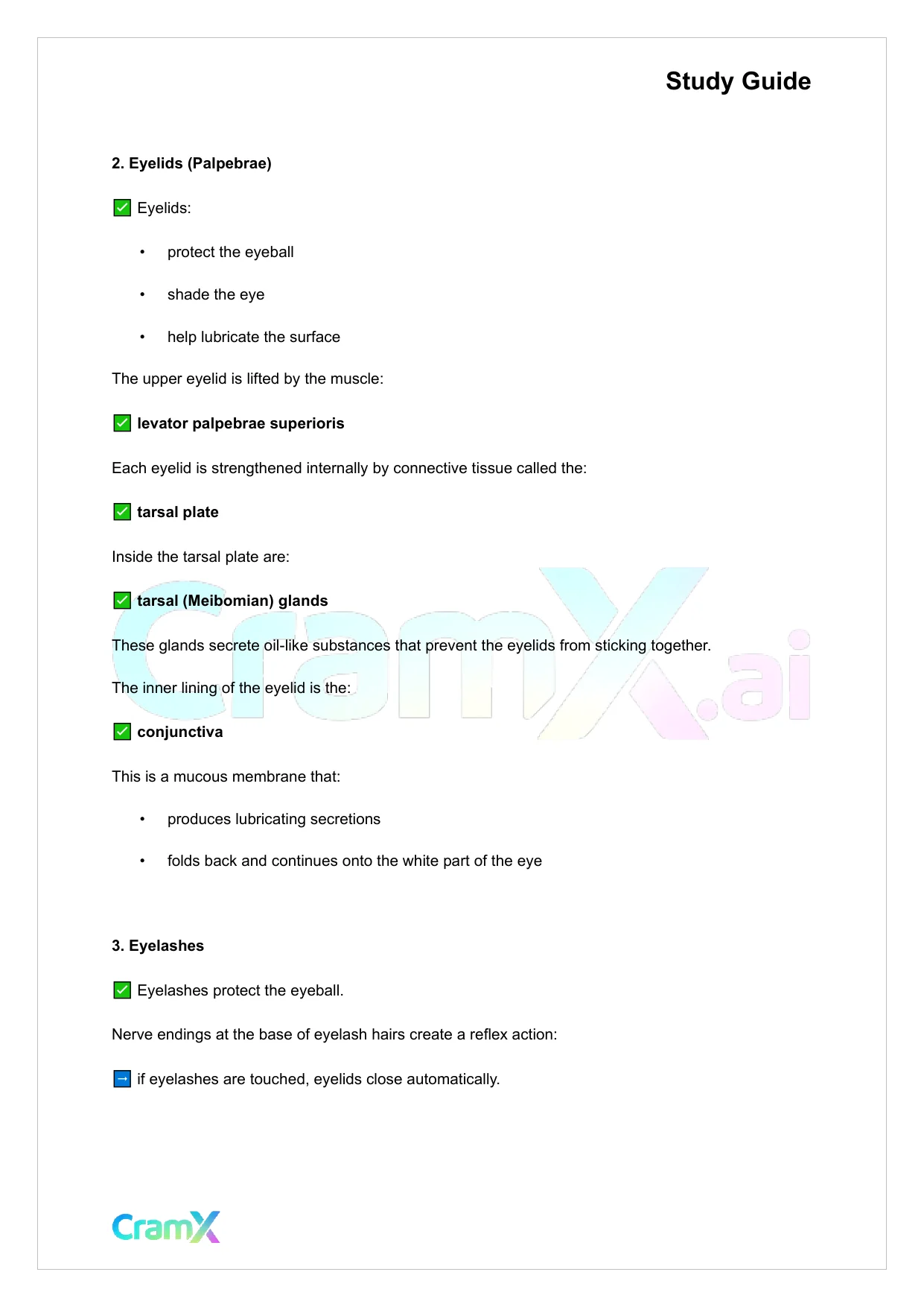 Anatomy and Physiology - The Sensory System - Page 9 preview image