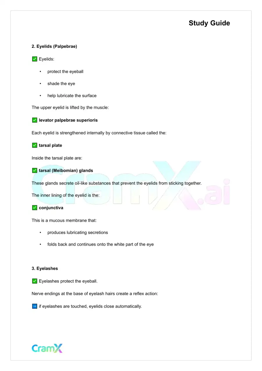 Anatomy and Physiology - The Sensory System, page 9