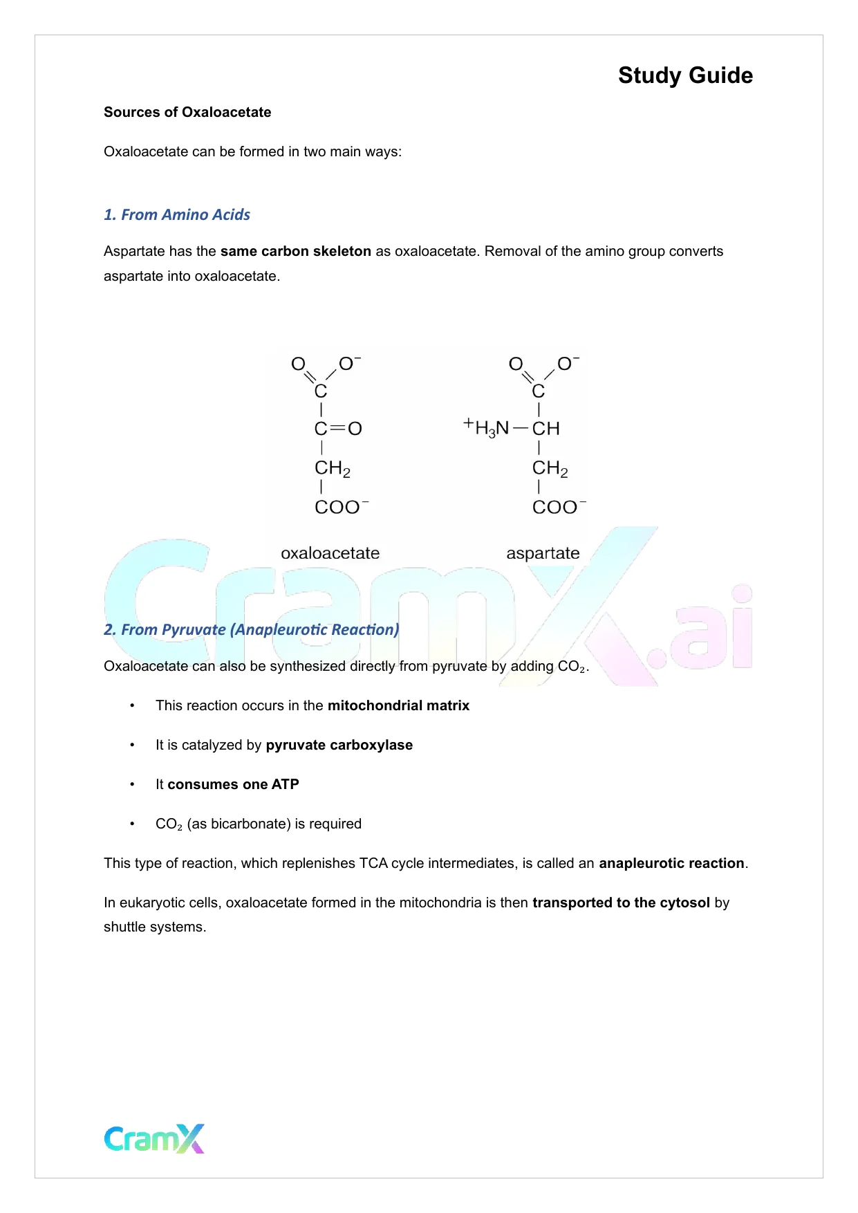 Biochemistry I - Carbohydrate Metabolism II - Page 2 preview image