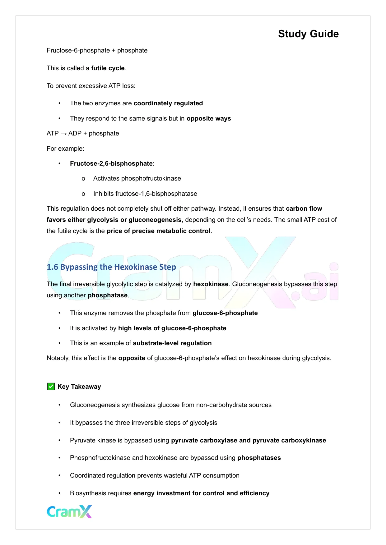 Biochemistry I - Carbohydrate Metabolism II - Page 5 preview image
