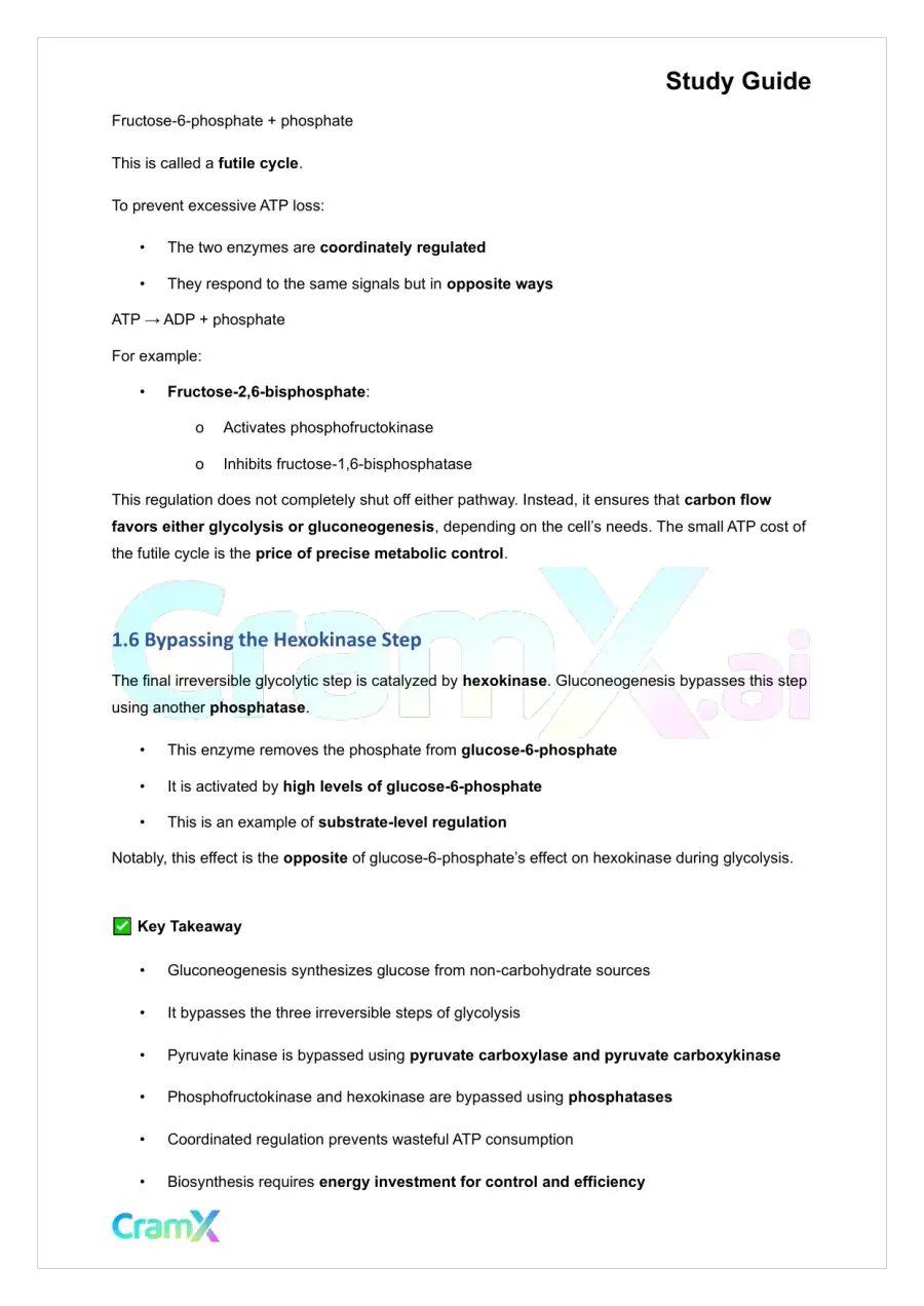 Biochemistry I - Carbohydrate Metabolism II, page 5