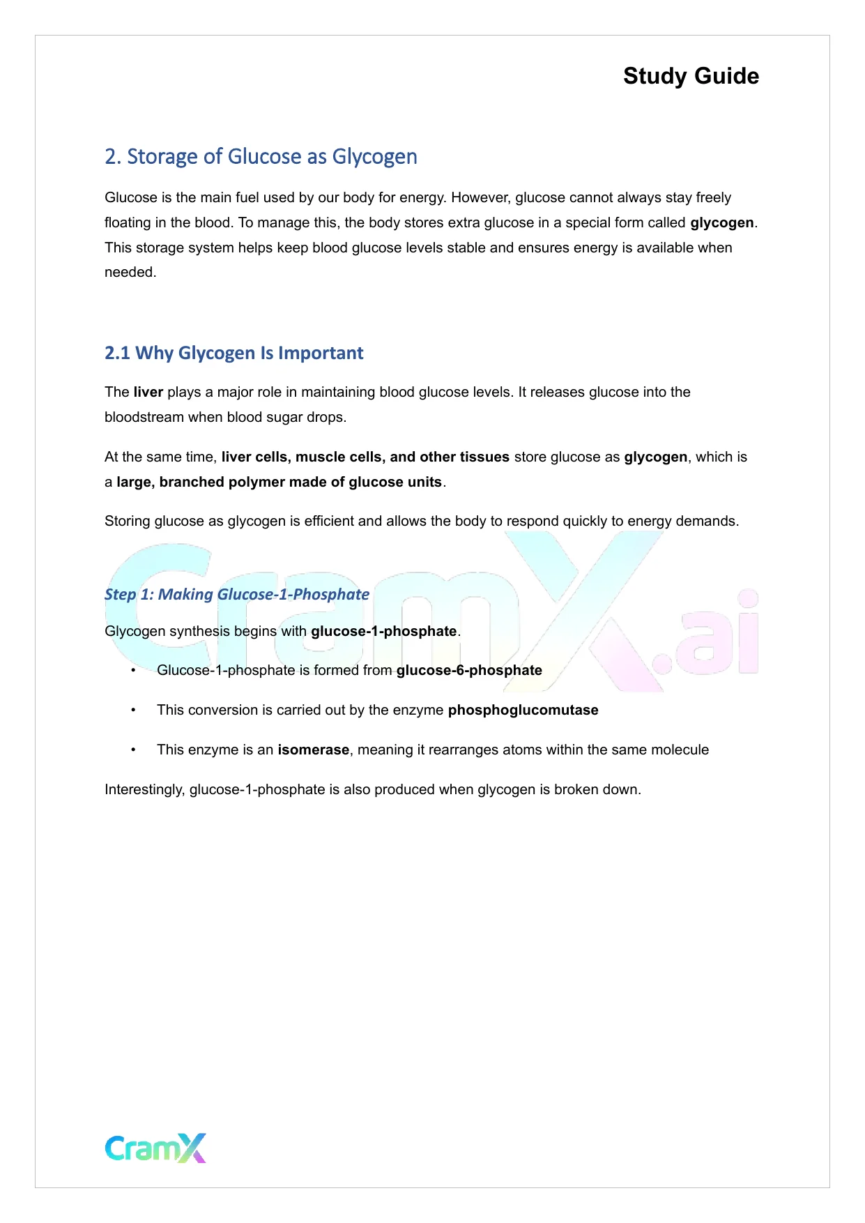 Biochemistry I - Carbohydrate Metabolism II - Page 6 preview image
