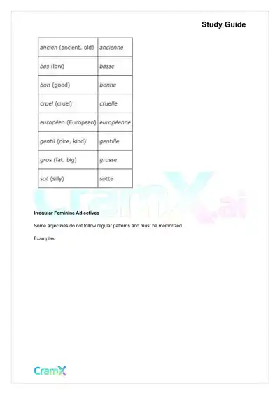 French II – Adjectives Adverbs Prepositions - Page 6 preview image