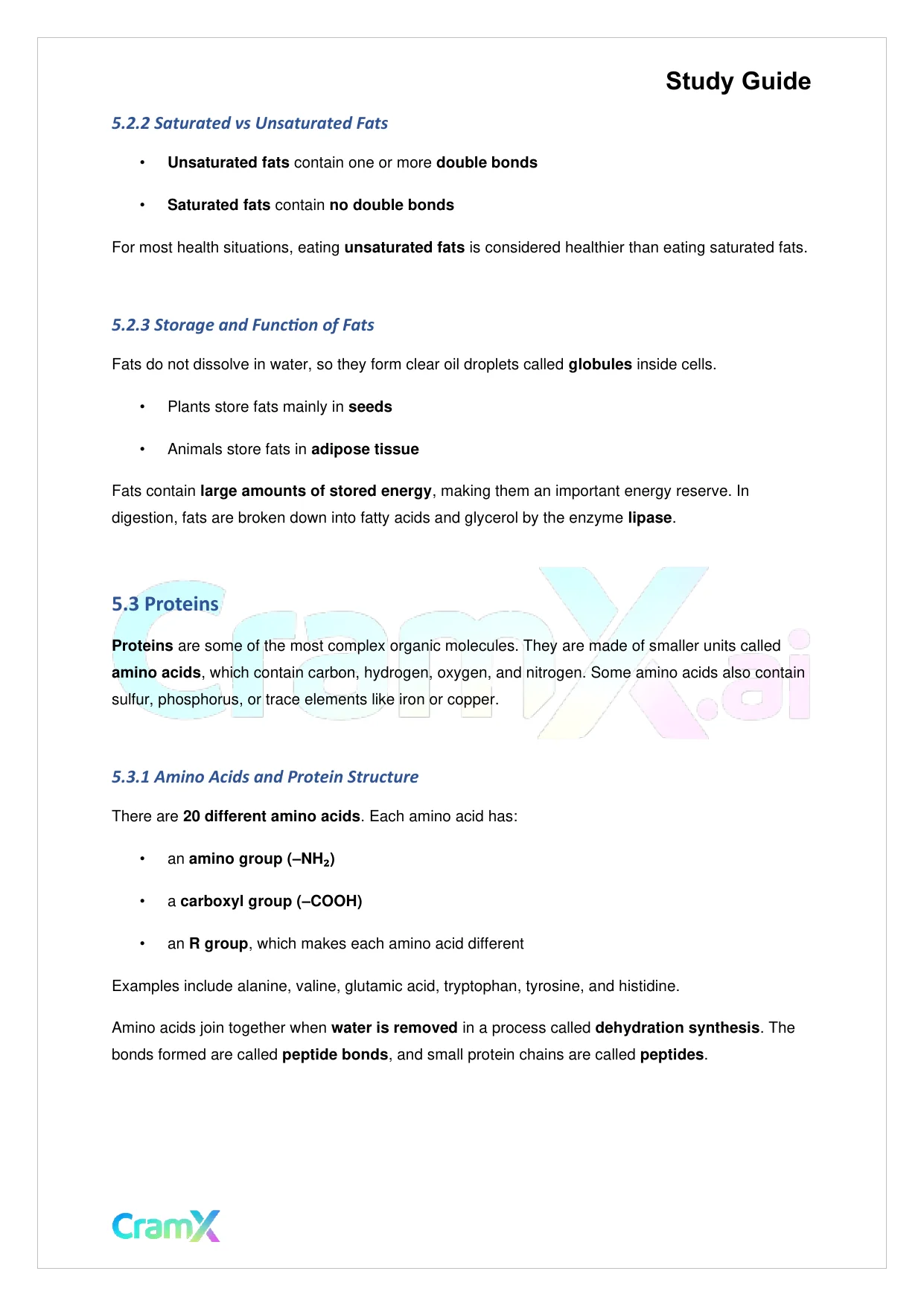 Biology - The Chemical Basis of Life - Page 10 preview image