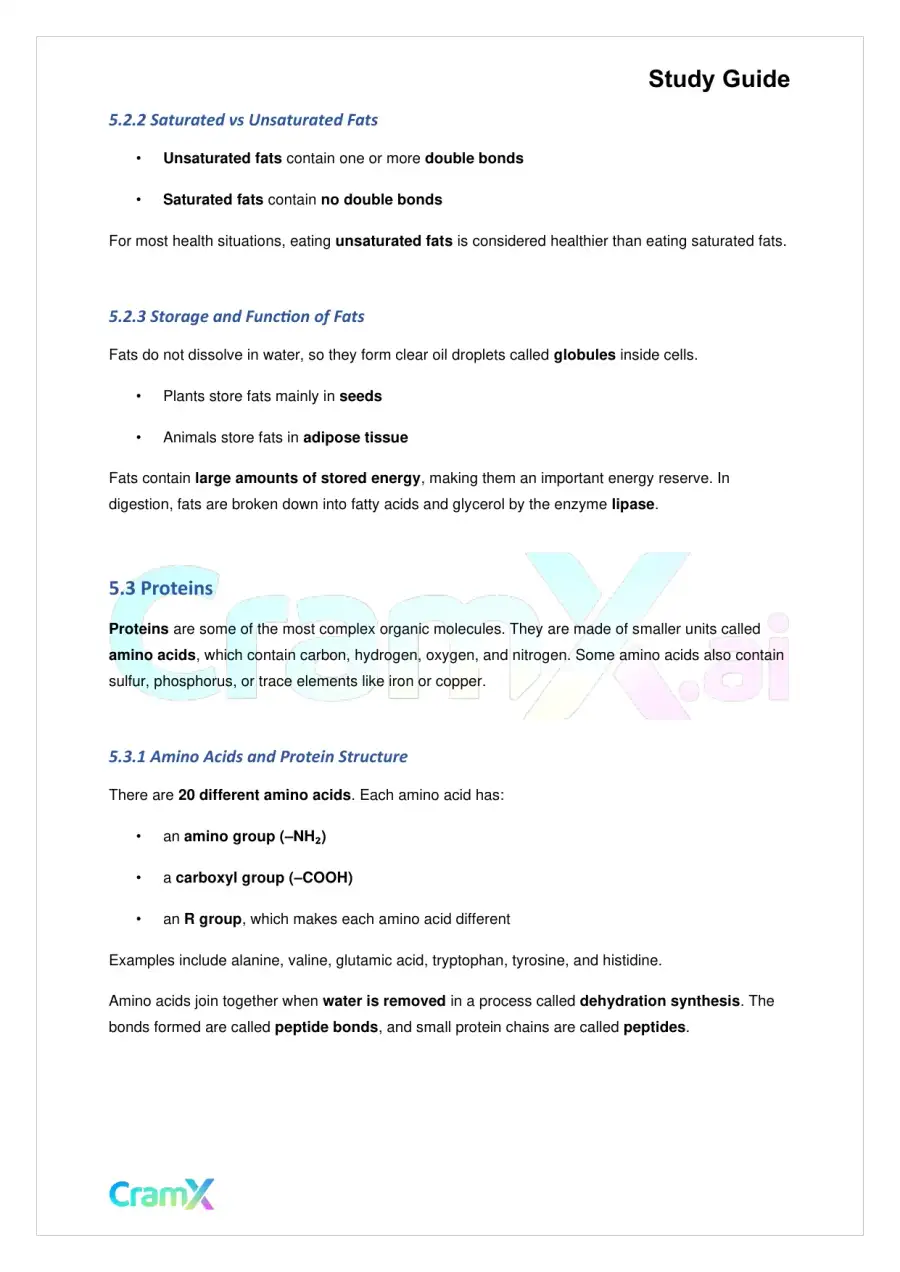 Biology - The Chemical Basis of Life, page 10