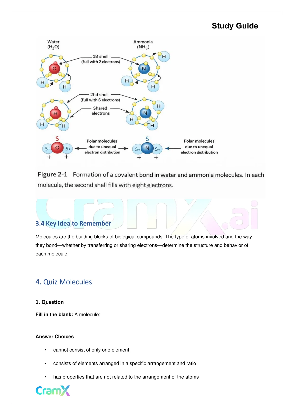 Biology - The Chemical Basis of Life - Page 4 preview image