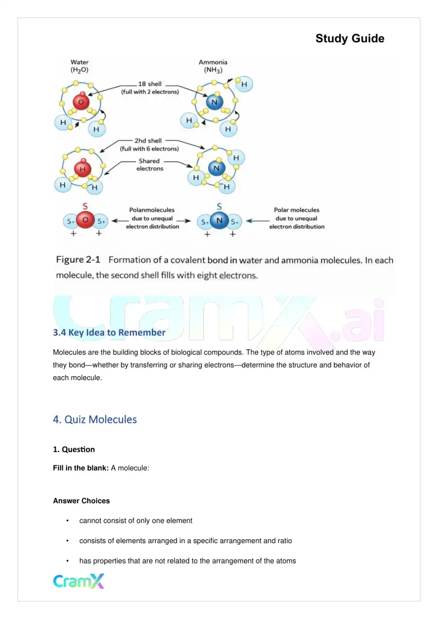 Biology - The Chemical Basis of Life, page 4