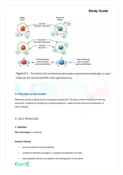 Biology - The Chemical Basis of Life - Page 4 preview image