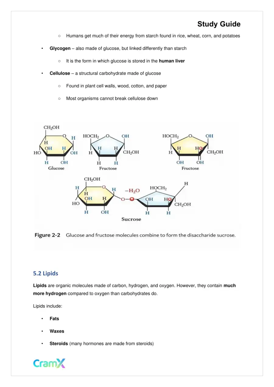 Biology - The Chemical Basis of Life, page 8