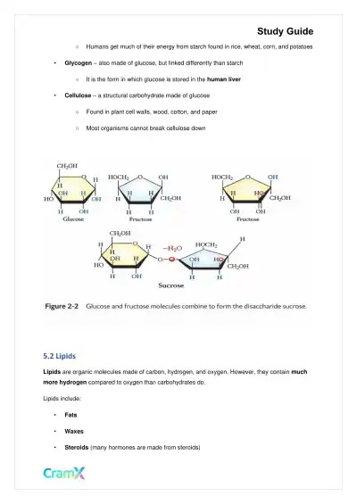 Biology - The Chemical Basis of Life - Page 8 preview image