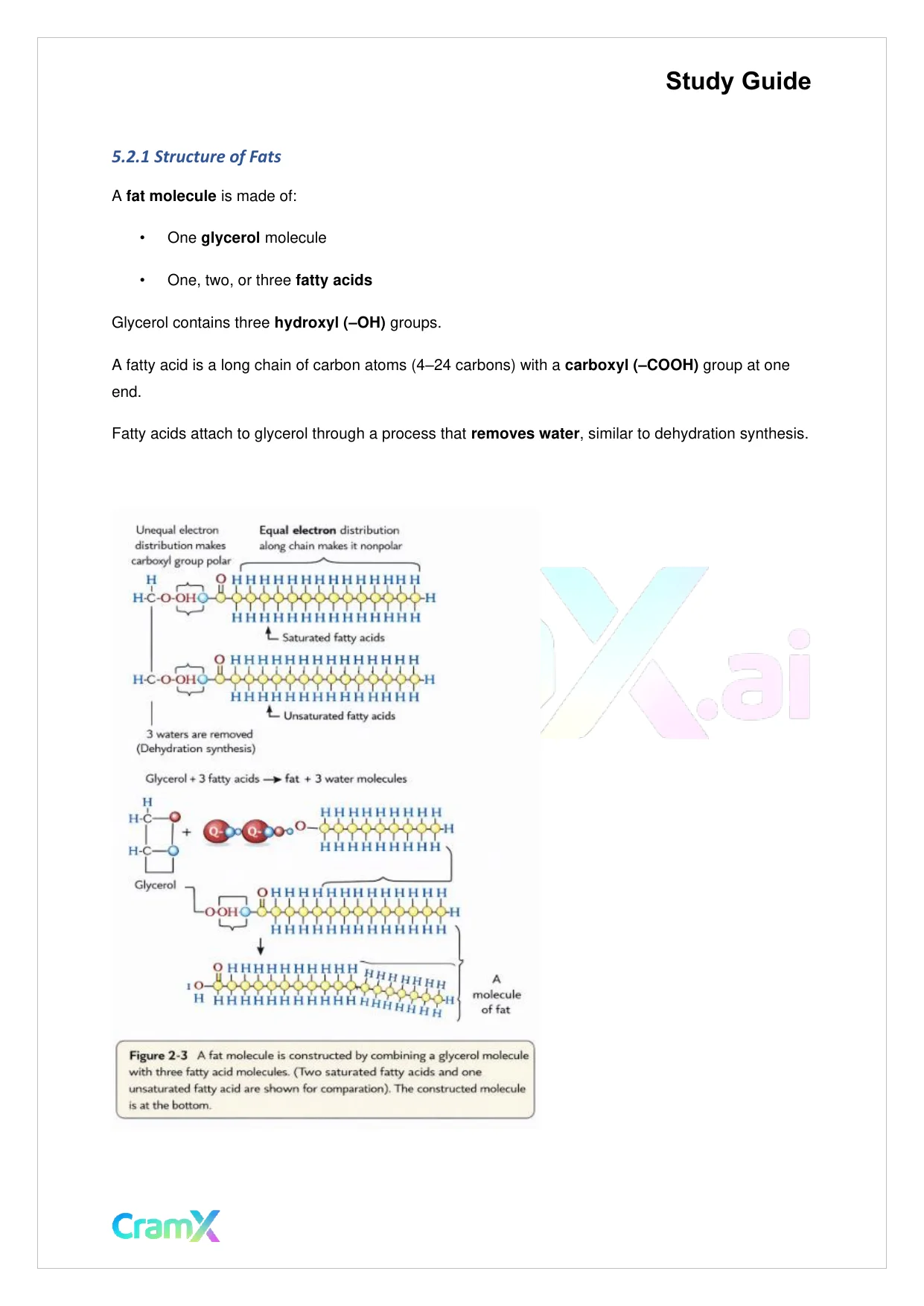 Biology - The Chemical Basis of Life - Page 9 preview image