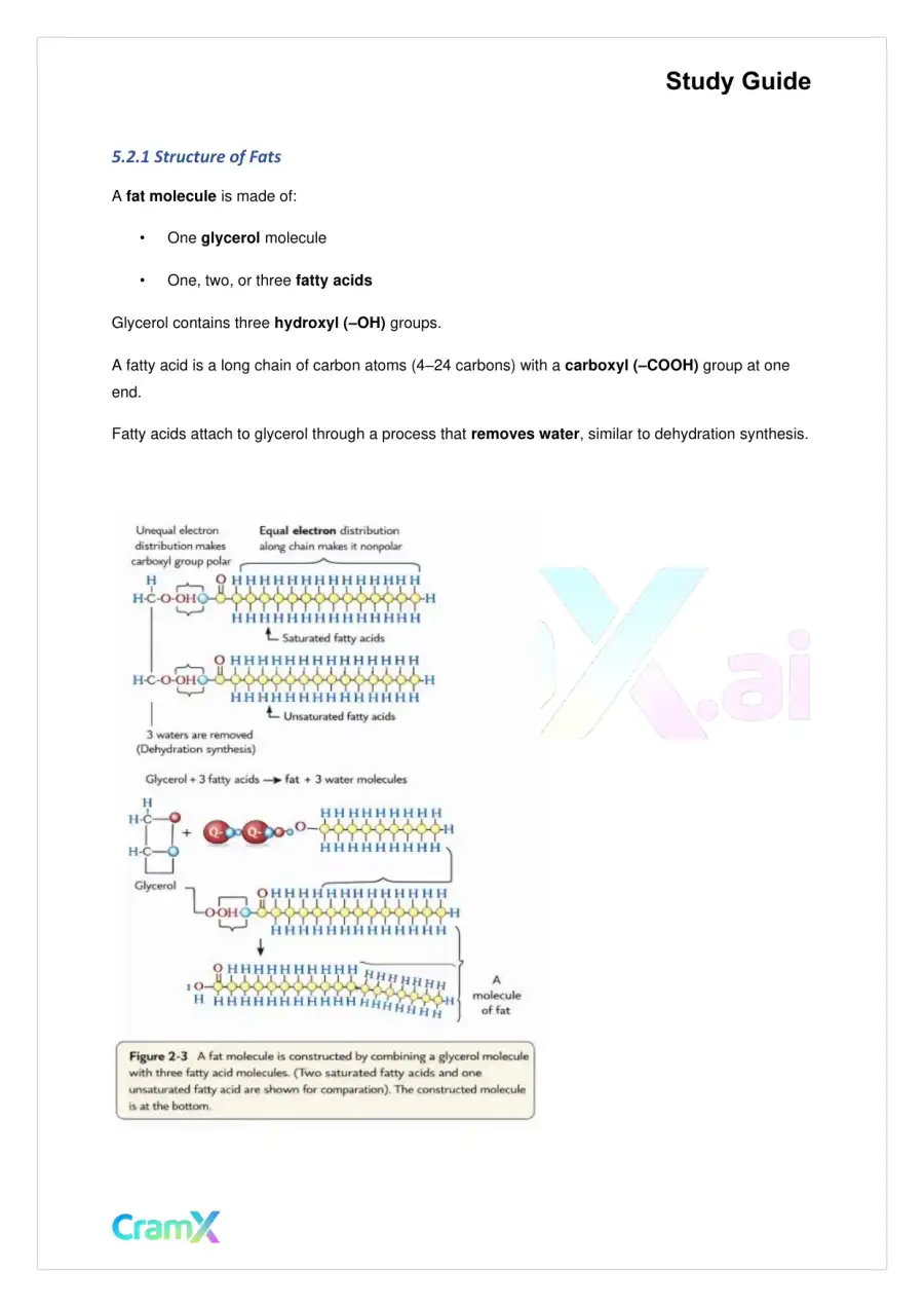Biology - The Chemical Basis of Life, page 9