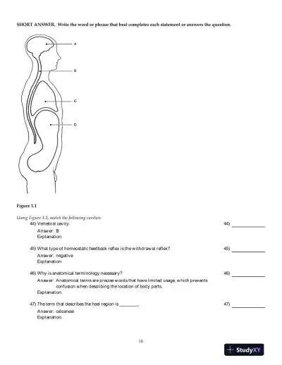Human Anatomy And Physiology, 8th Edition Test Bank - Page 11 preview image