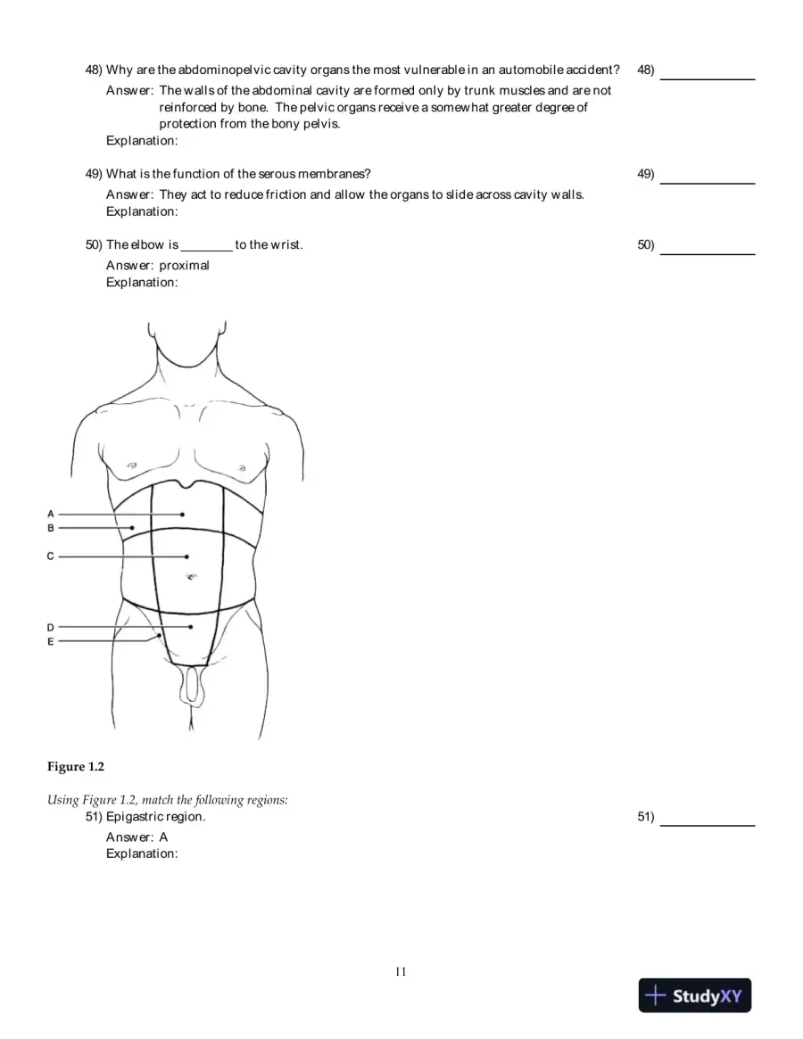 Human Anatomy And Physiology, 8th Edition Test Bank, page 12